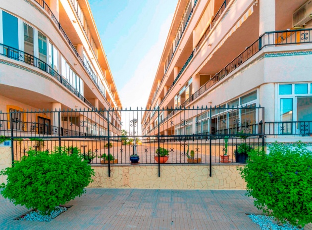 Appartement - Revente - Playa Flamenca - la mirada