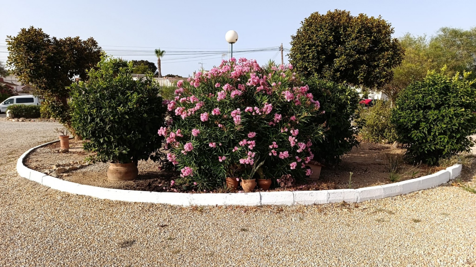 Återförsäljning - Bungalow - Torrevieja - torreta