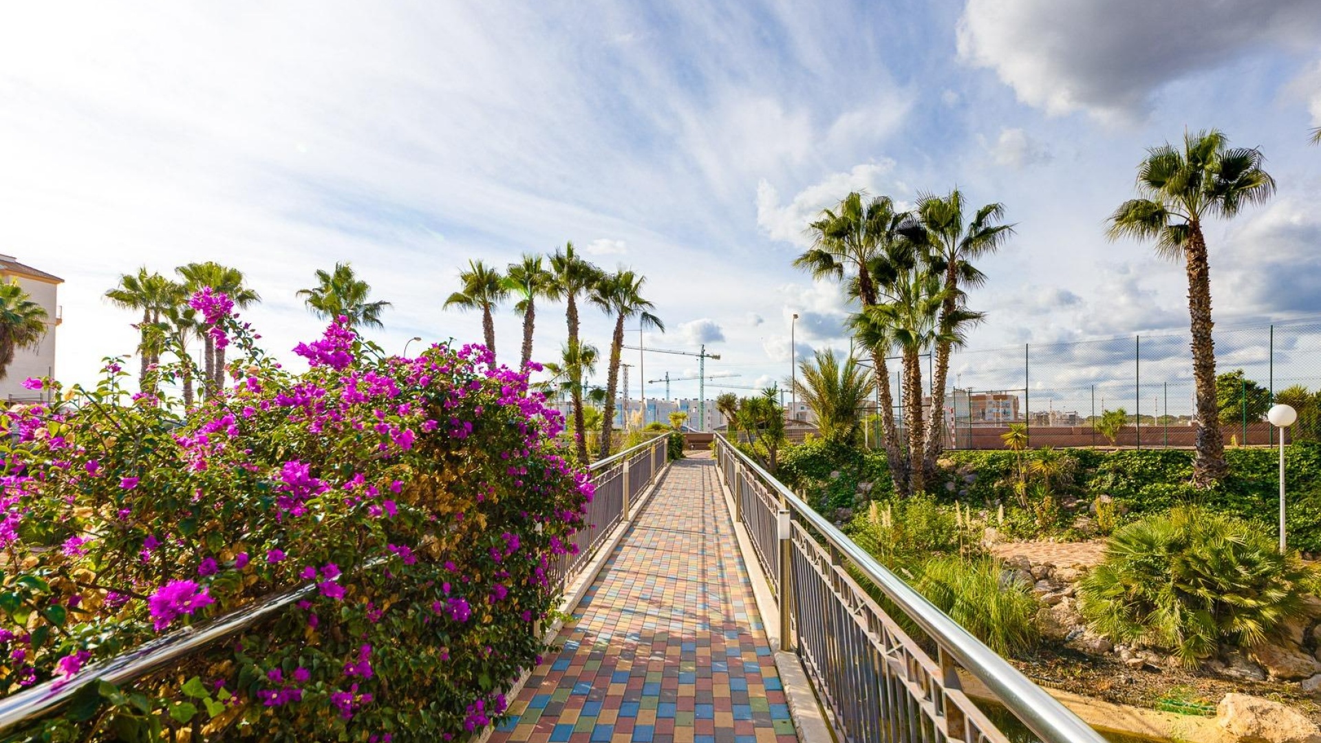 Återförsäljning - Lägenhet - Playa Flamenca - Laguna Golf