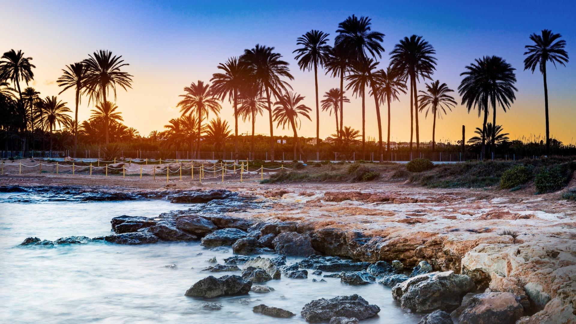 Återförsäljning - Lägenhet - Torrevieja - mar azul