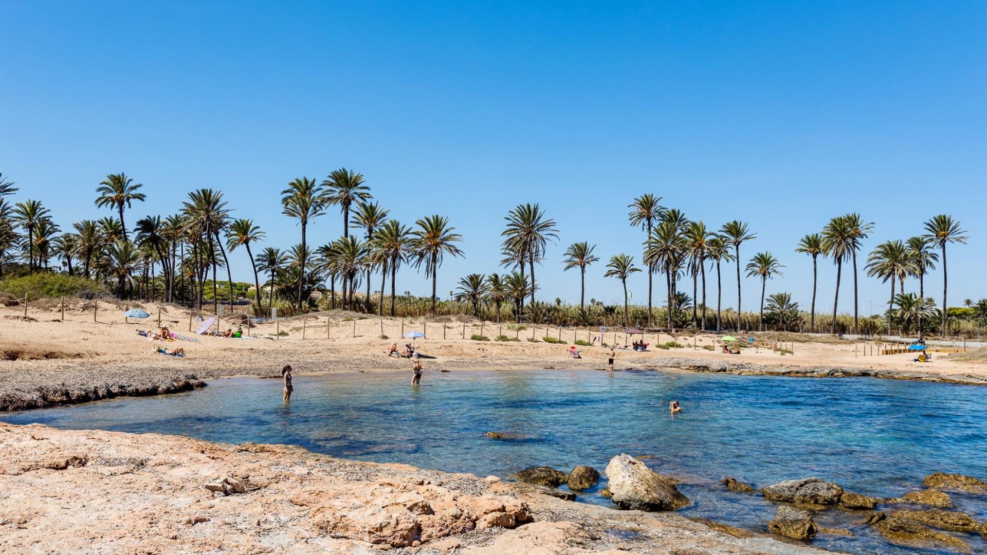 Återförsäljning - Lägenhet - Torrevieja - mar azul