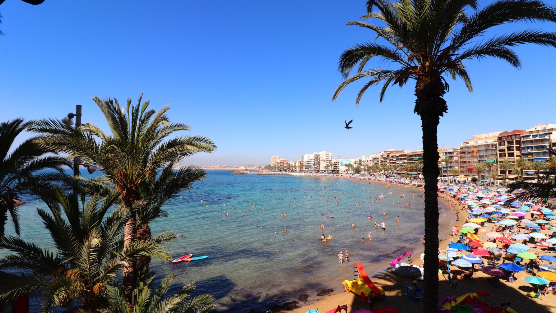 Återförsäljning - Lägenhet - Torrevieja - Playa Del Cura