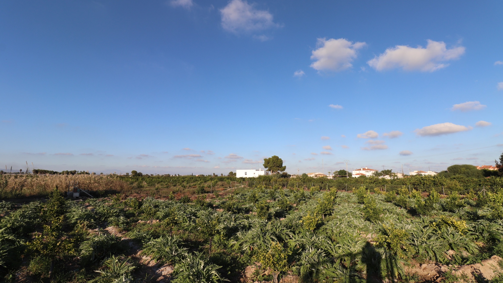 Återförsäljning - Landa - Rojales - Los Palacios