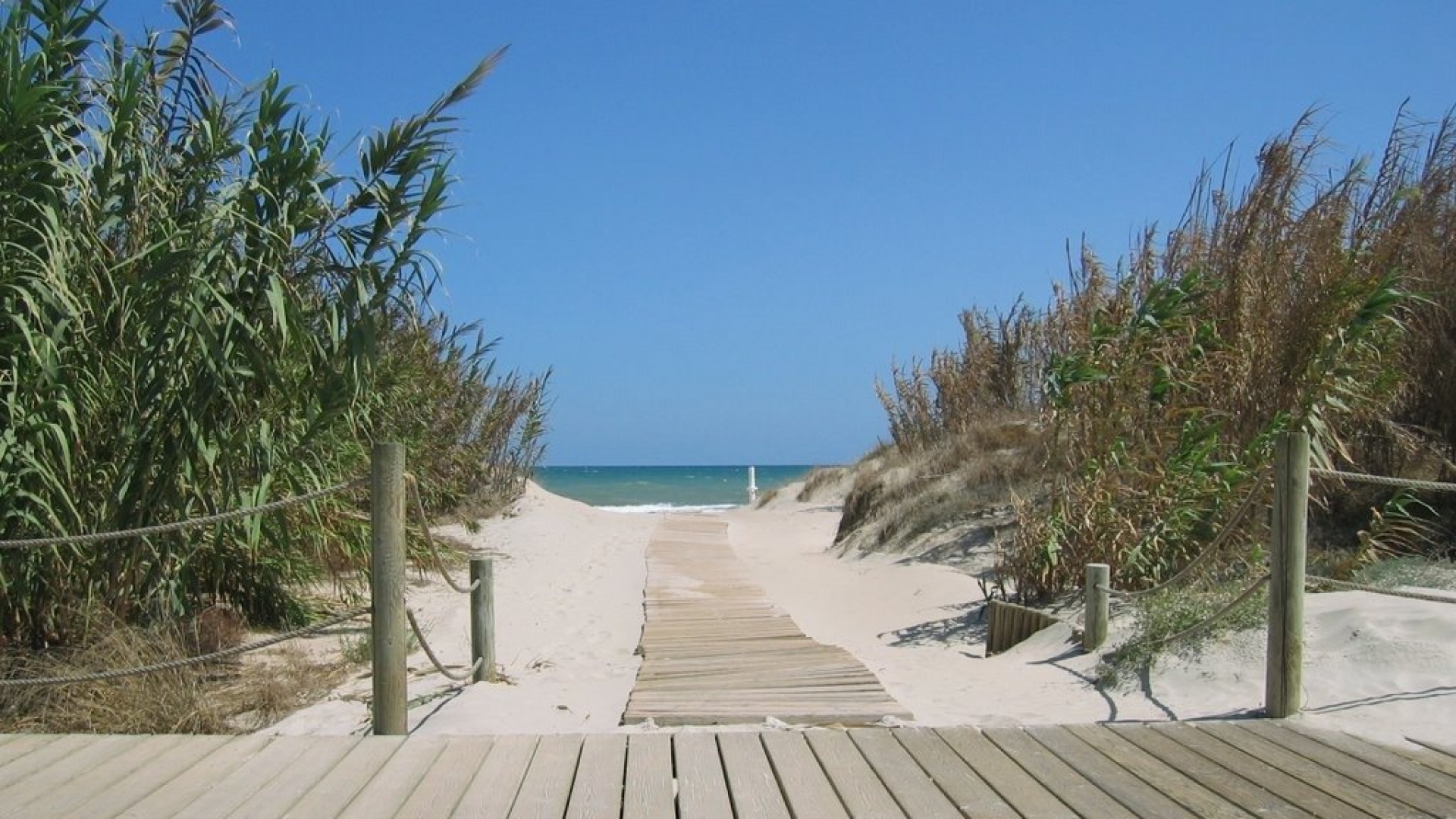 Neubau - Bungalow - Torre de la Horadada - Costa Blanca South