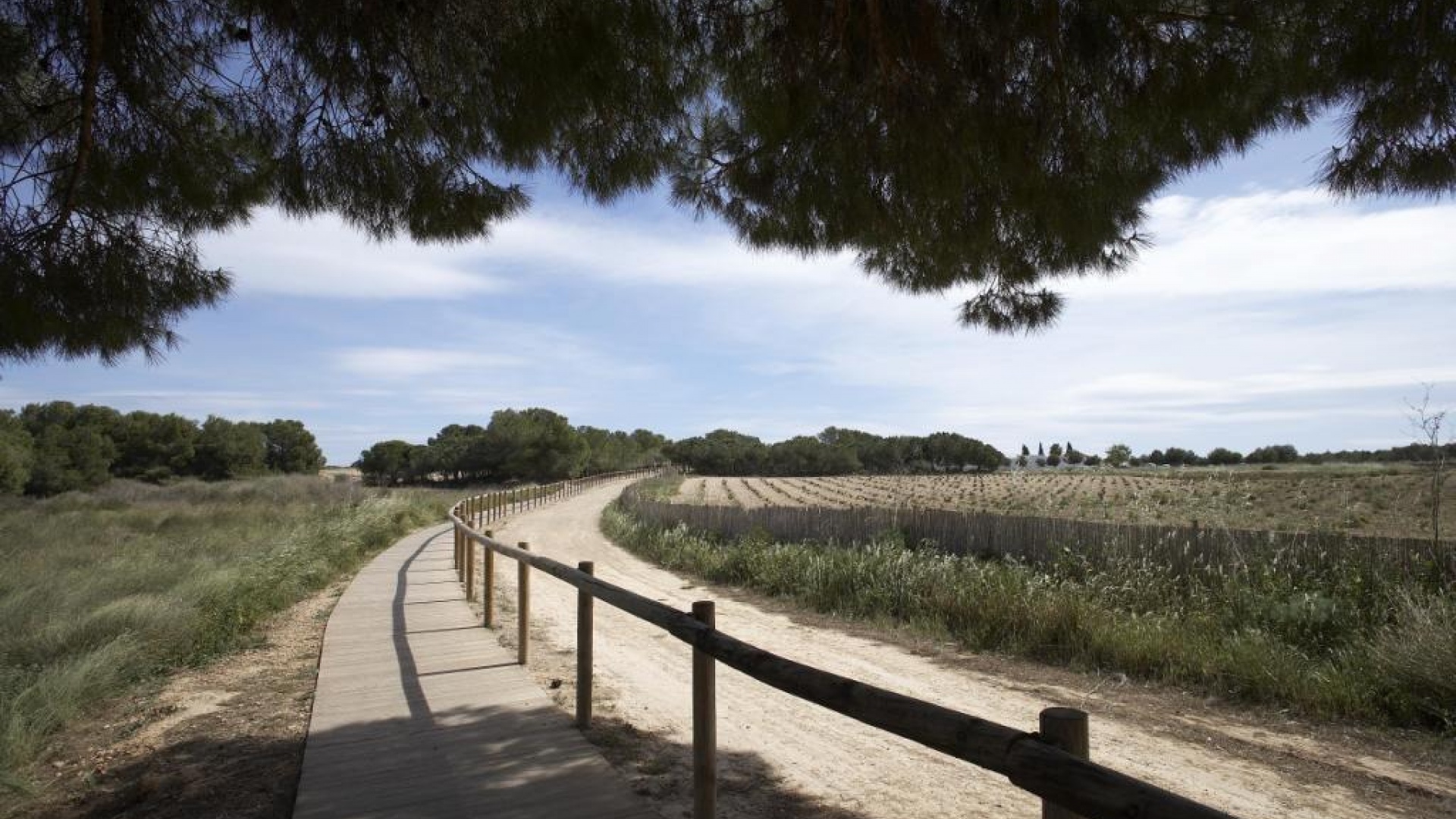 Neubau - Bungalow - Torrevieja - Aguas Nuevas