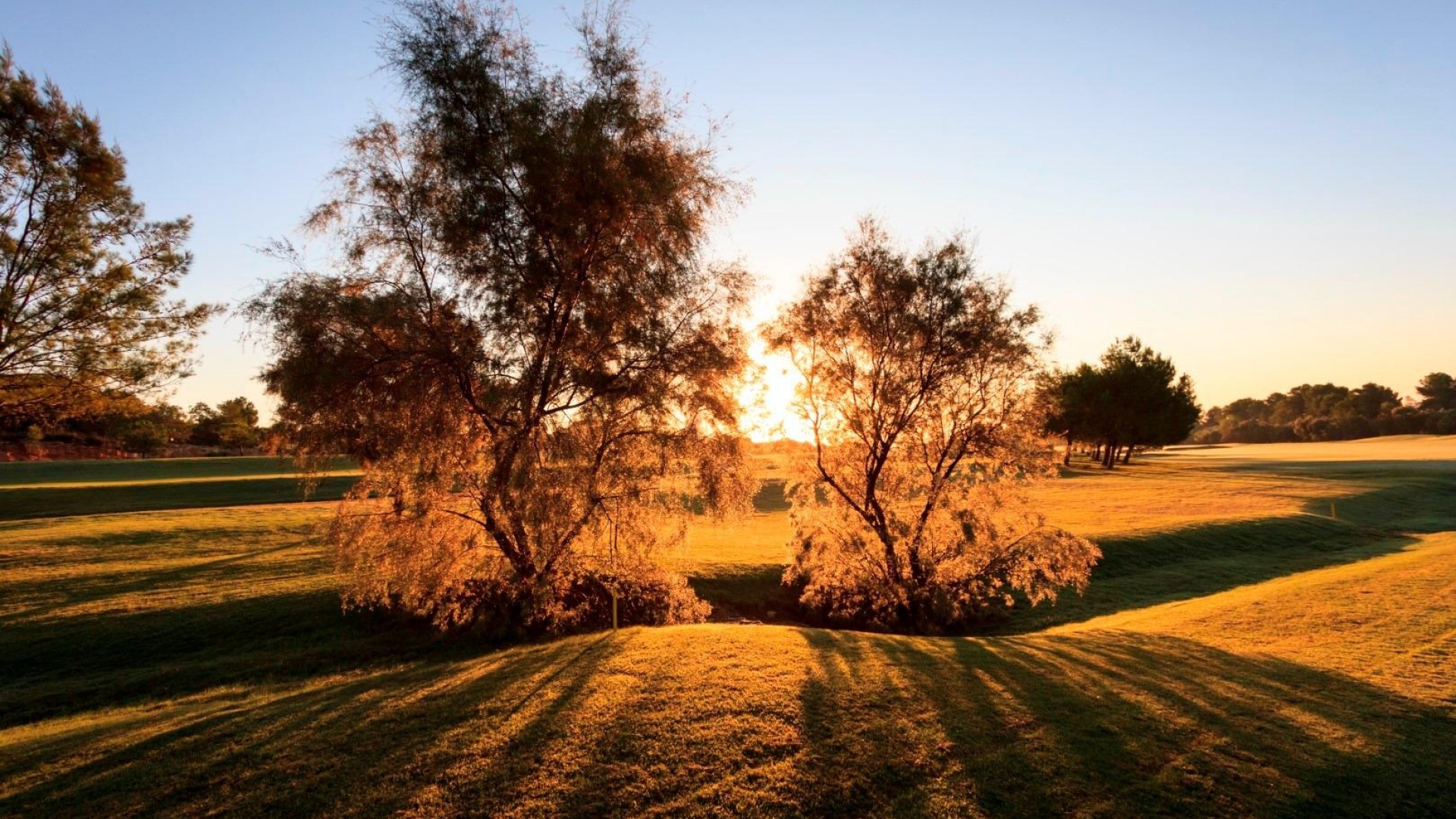 Neubau - Villa - Pilar de la Horadada - Lo Romero Golf