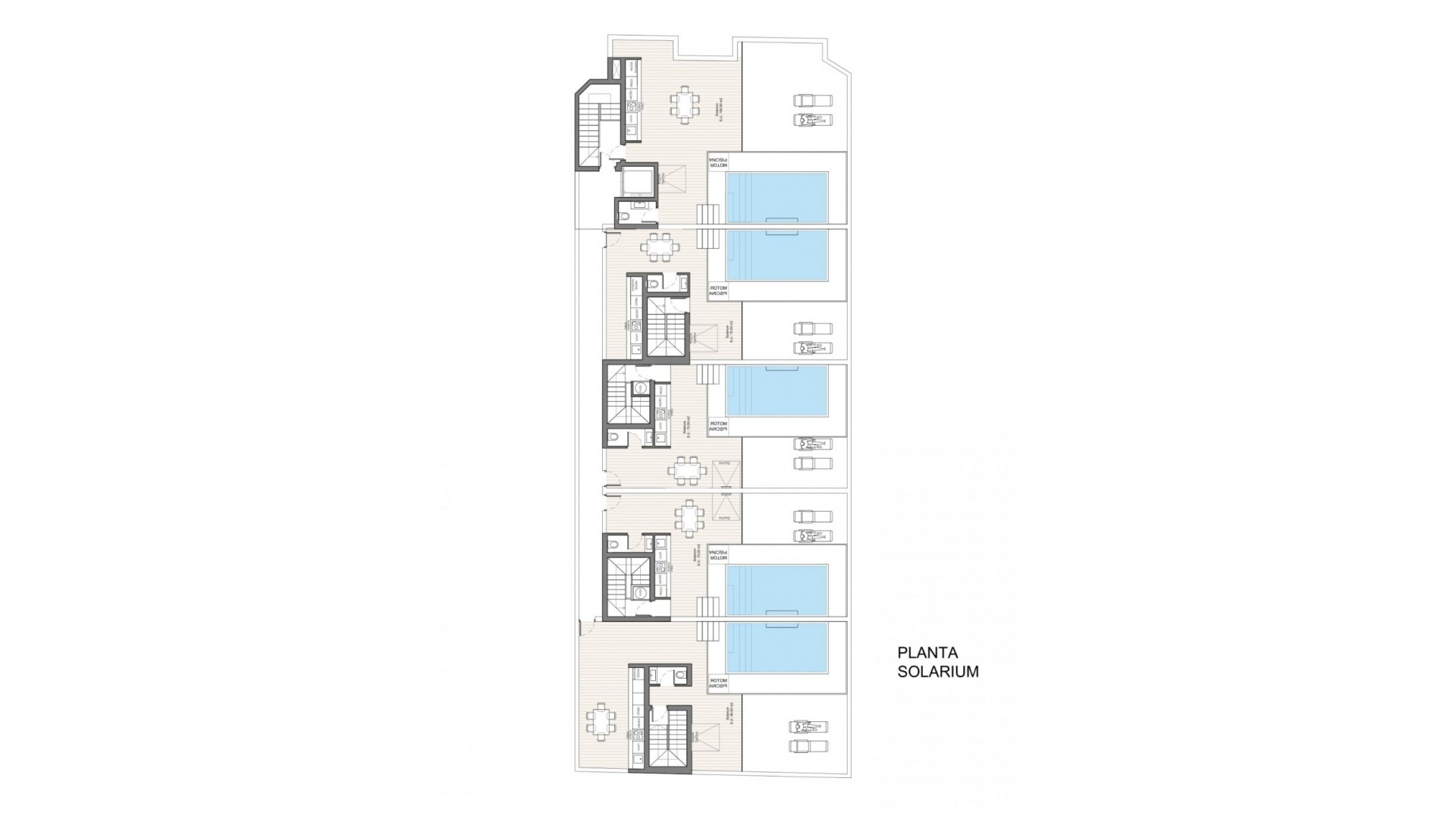 Neubau - Wohnung - Benijofar - Pueblo