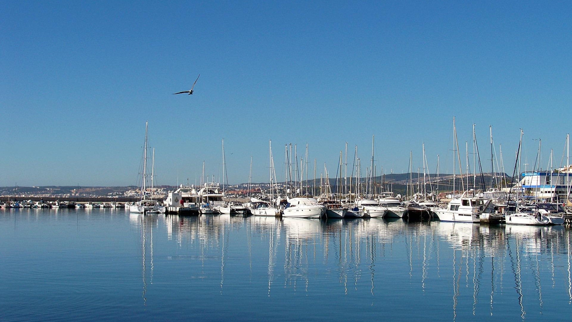 Neubau - Wohnung - Estepona - Buenas Noches