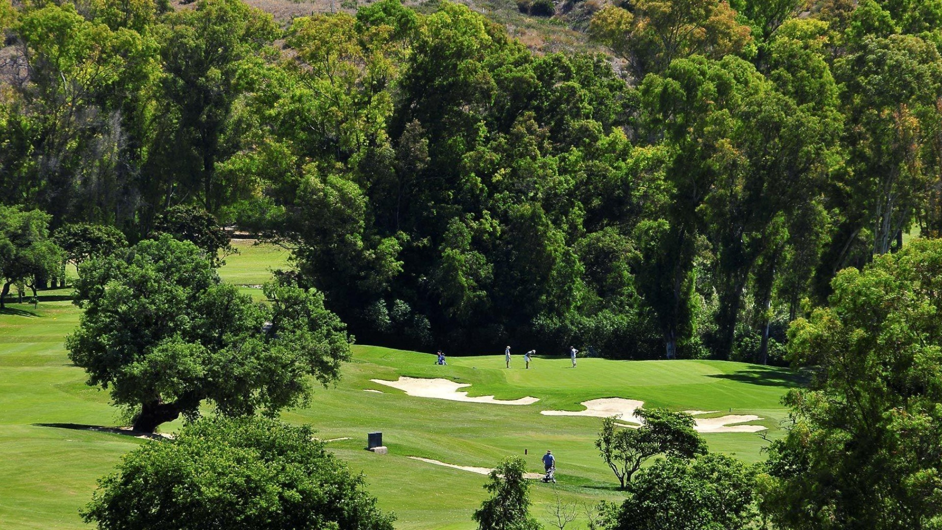 Neubau - Wohnung - Mijas - Mijas Golf