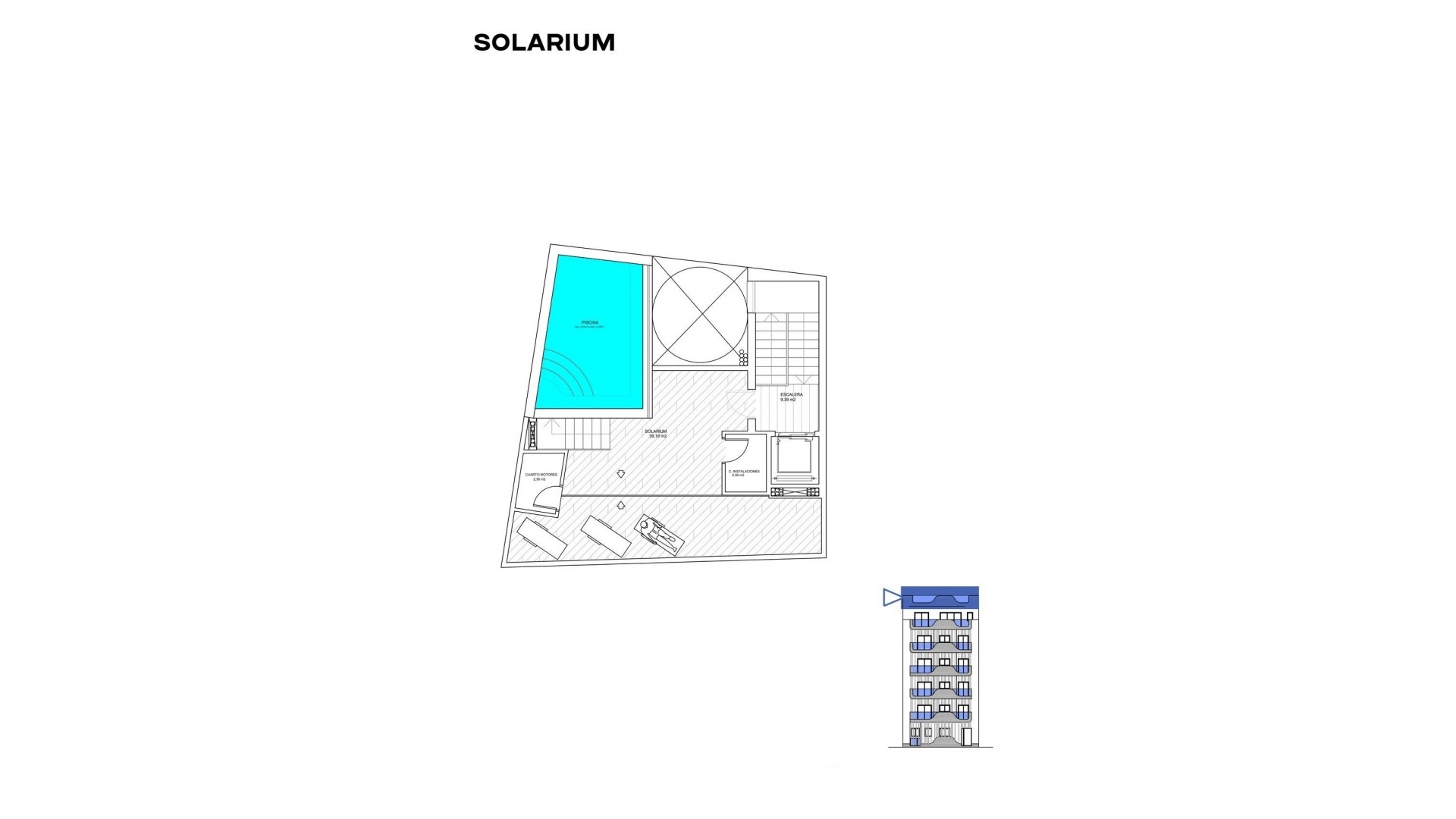 New Build - Apartment - Torrevieja - Playa De Los Locos