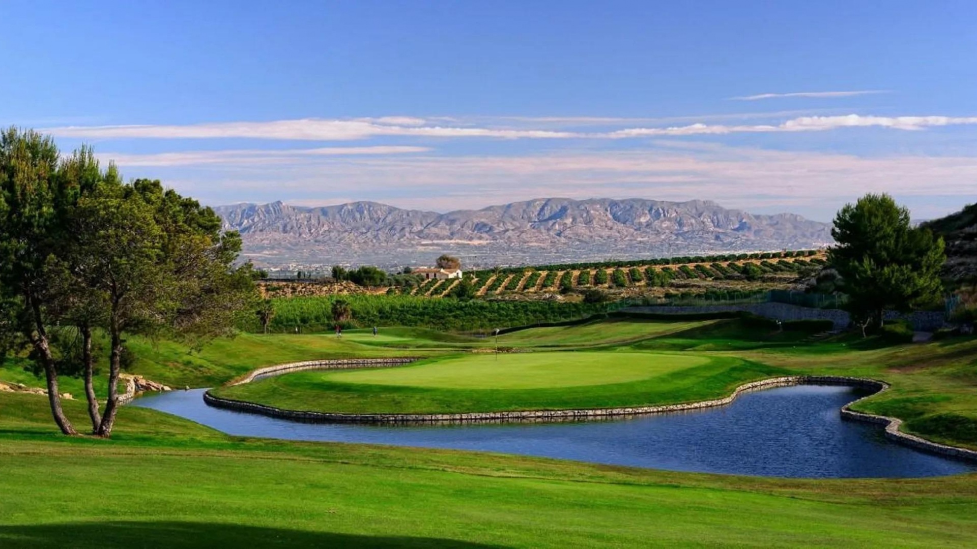 Nieuw gebouw - Herenhuis - Algorfa - La Finca Golf