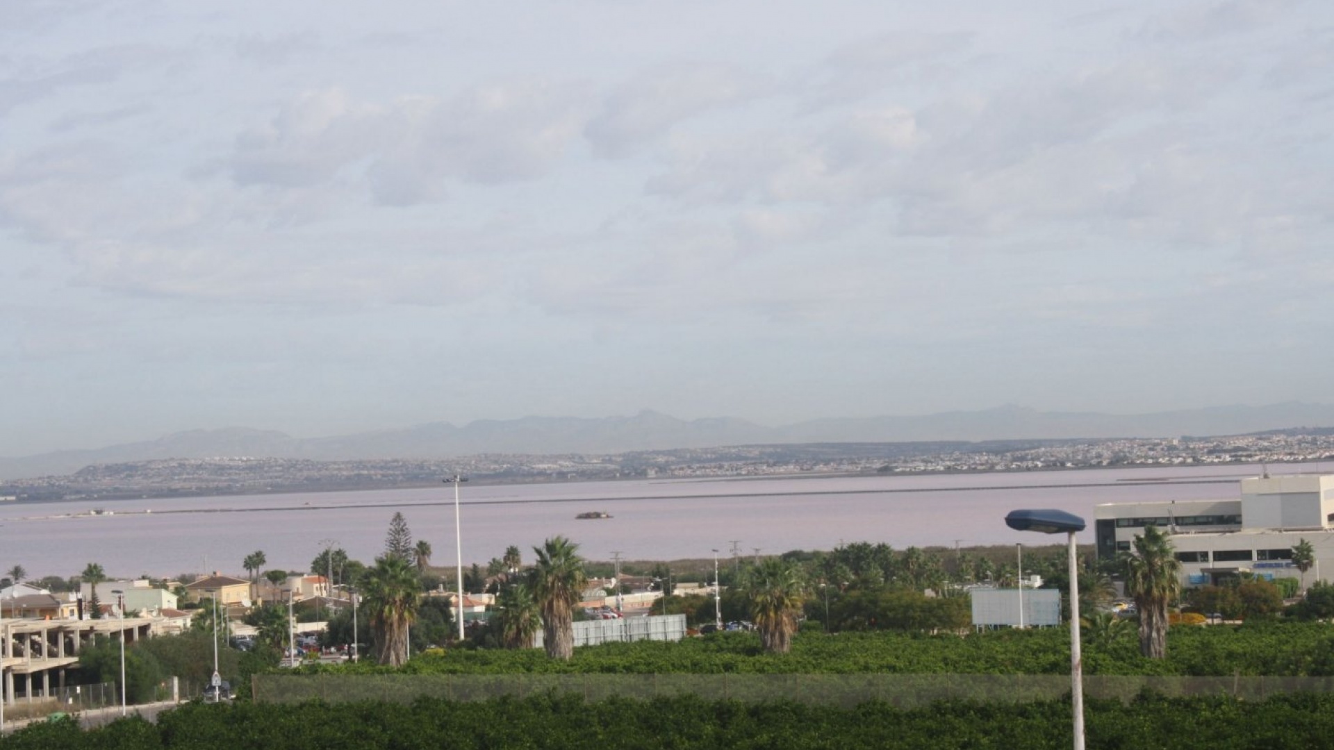 Nieuw gebouw - Herenhuis - Torrevieja - Los Altos