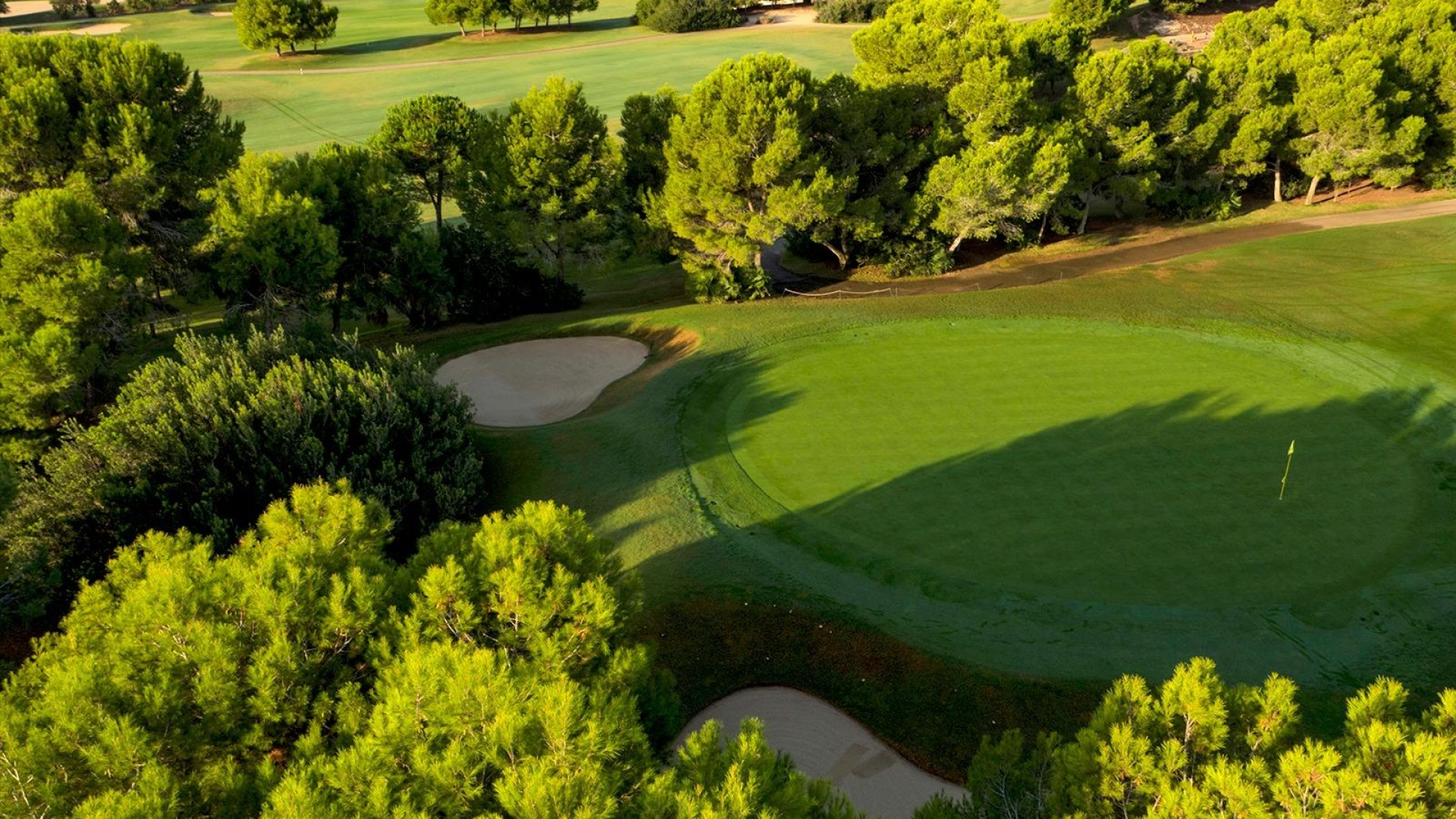 Nieuw gebouw - Villa - Pilar de la Horadada - Lo Romero Golf