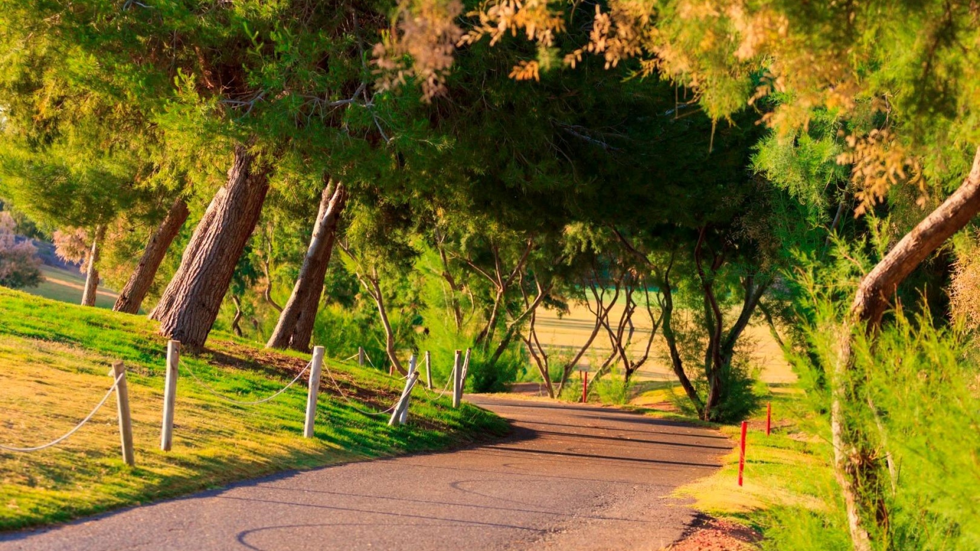 Nieuw gebouw - Villa - Pilar de la Horadada - Lo Romero Golf