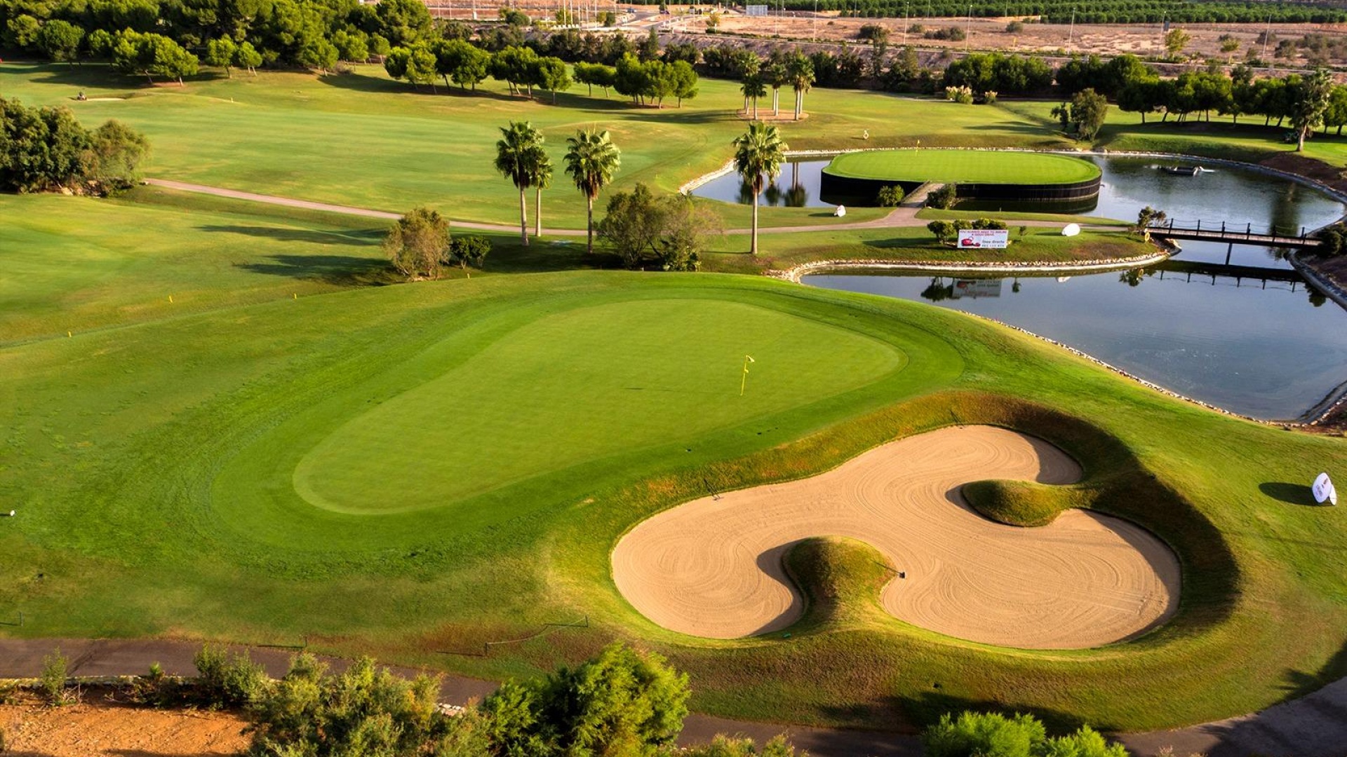 Nieuw gebouw - Villa - Pilar de la Horadada - Lo Romero Golf