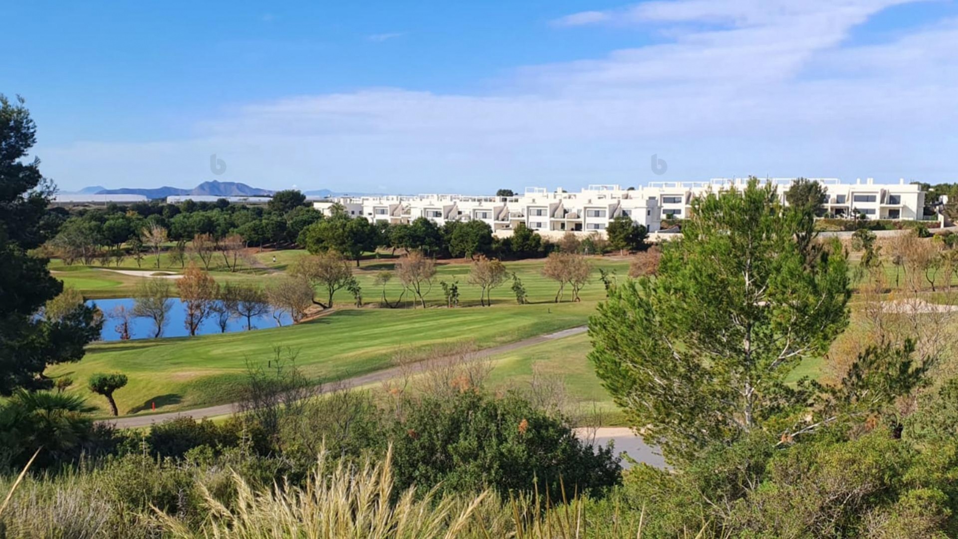 Nieuw gebouw - Villa - Pilar de la Horadada - Lo Romero Golf