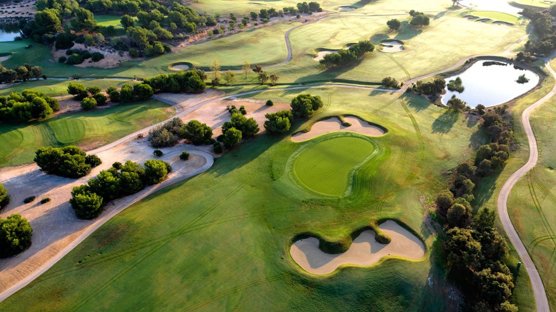 Nieuw gebouw - Villa - Pilar de la Horadada - Lo Romero Golf