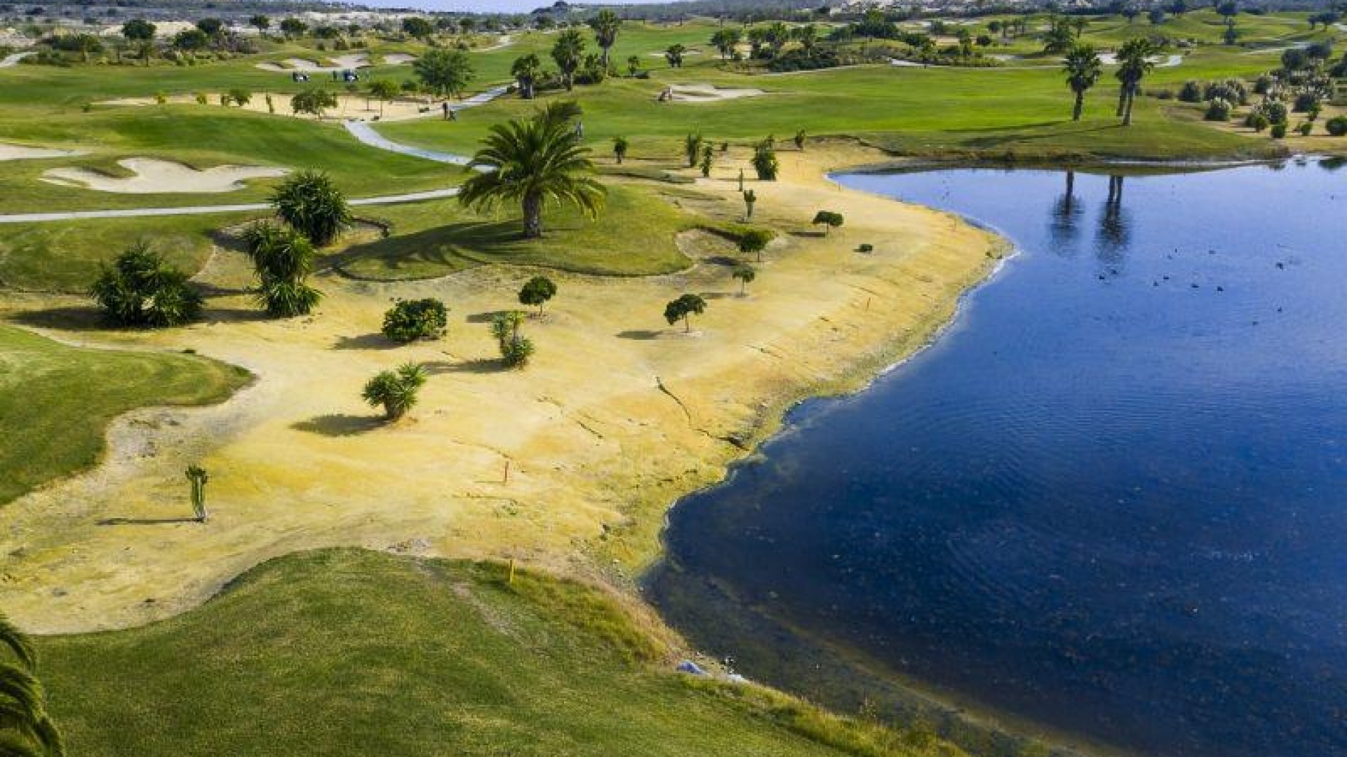 Nieuw gebouw - Villa - San Miguel de Salinas - Vistabella golf resort