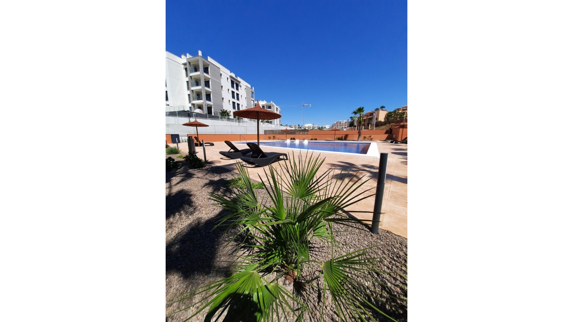 Nouvelle construction - Appartement - Villamartin - Res. Palapa Golf