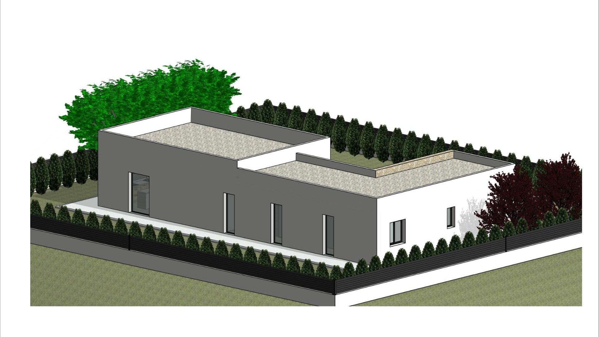 Nouvelle construction - Villa - Pinoso - Lel