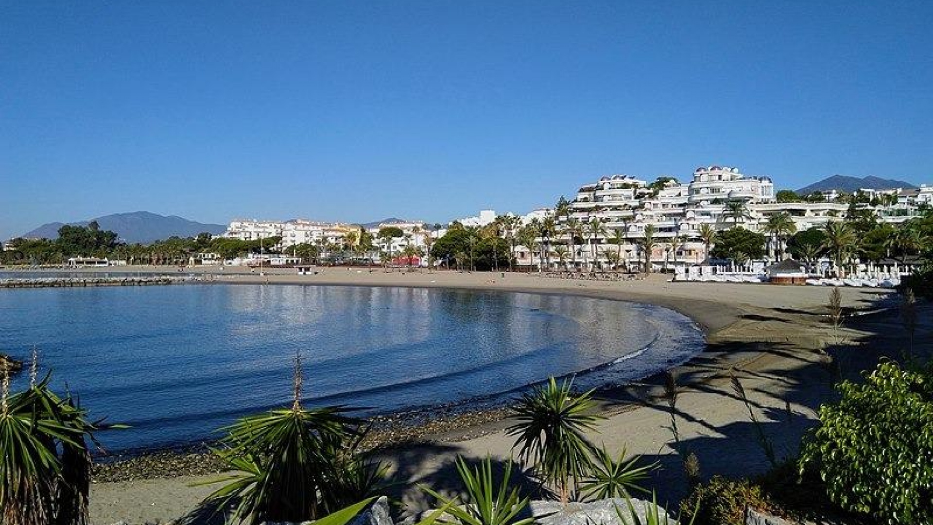 Nybyggnad - Lägenhet - Marbella - Nueva Andalucia