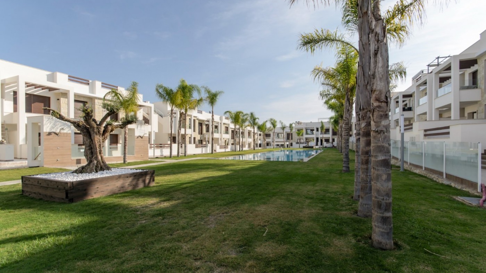 Nybyggnad - Lägenhet - Torrevieja - Los Balcones