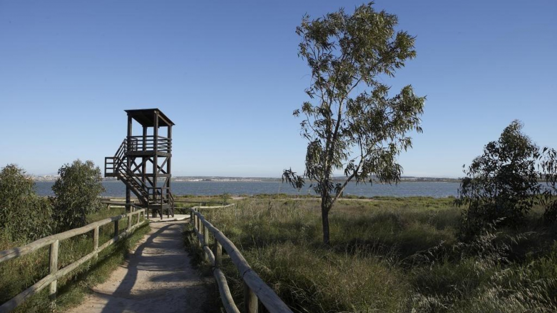 Nybyggnad - Lägenhet - Torrevieja - Torrejón