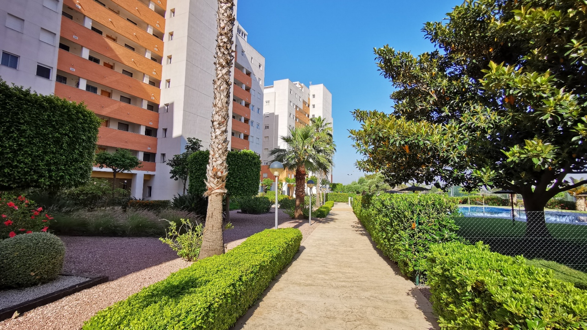 Resale - Apartment - Guardamar del Segura