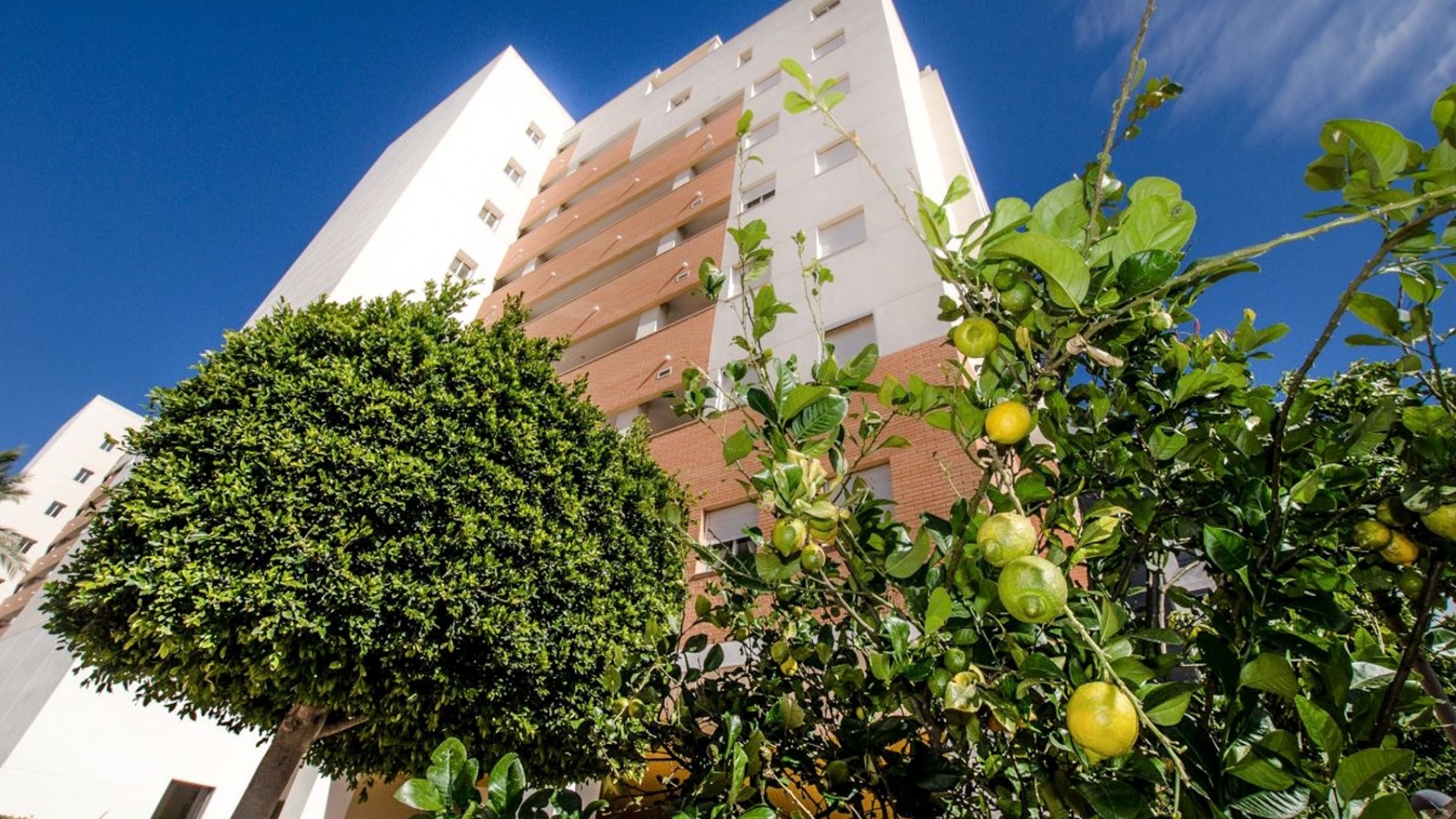 Resale - Apartment - Guardamar del Segura