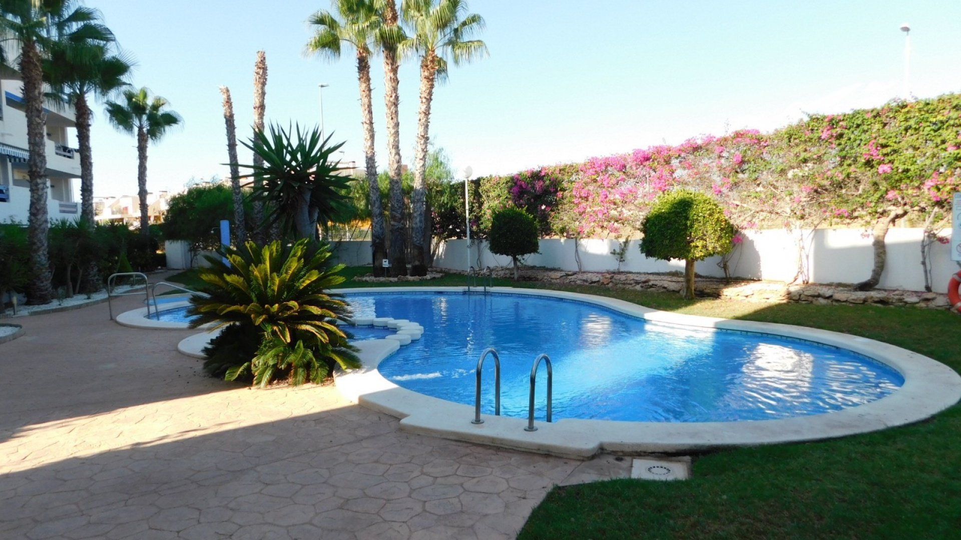 Resale - Apartment - Playa Flamenca - la calma