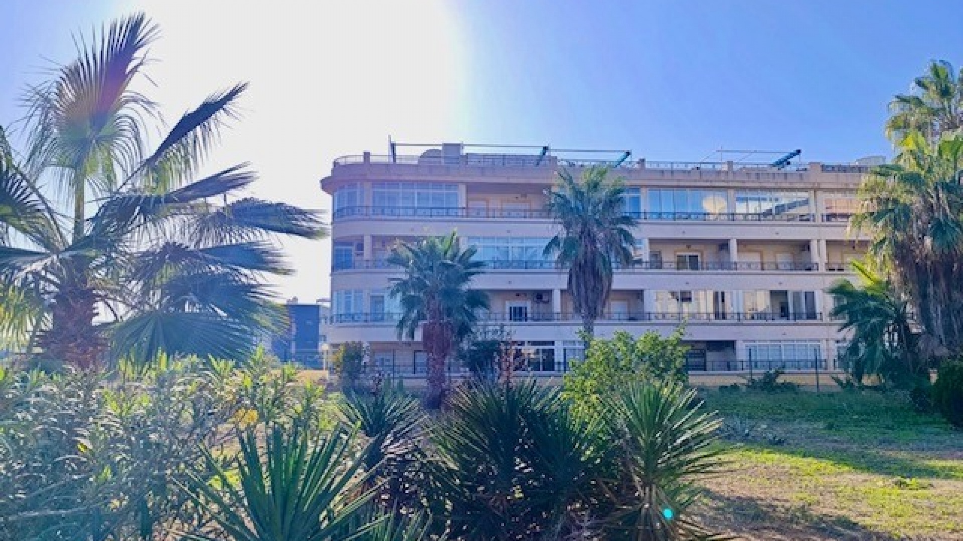 Resale - Apartment - Playa Flamenca - la mirada