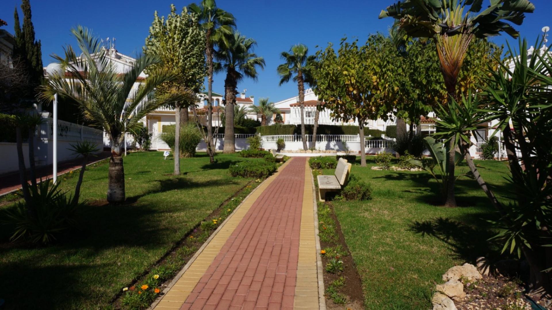 Resale - Apartment - Playa Flamenca - zeniamar