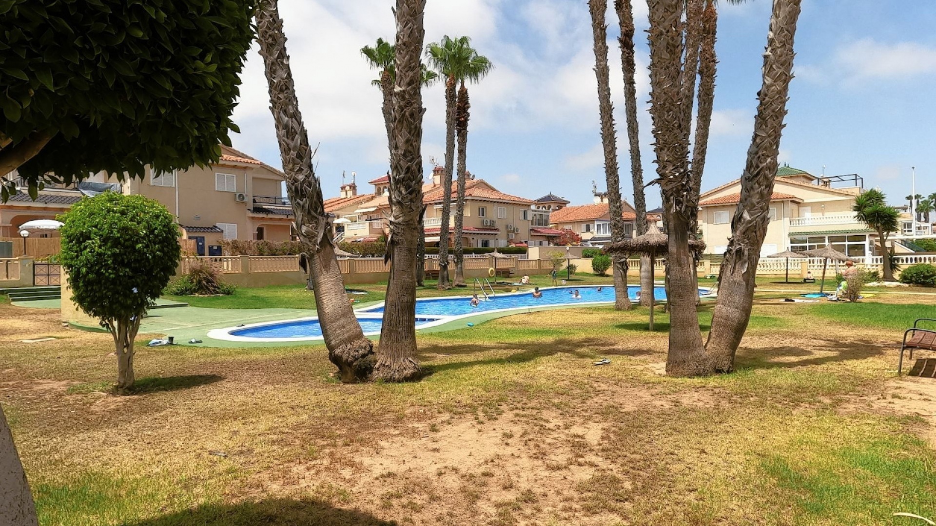 Resale - Apartment - Playa Flamenca - zeniamar