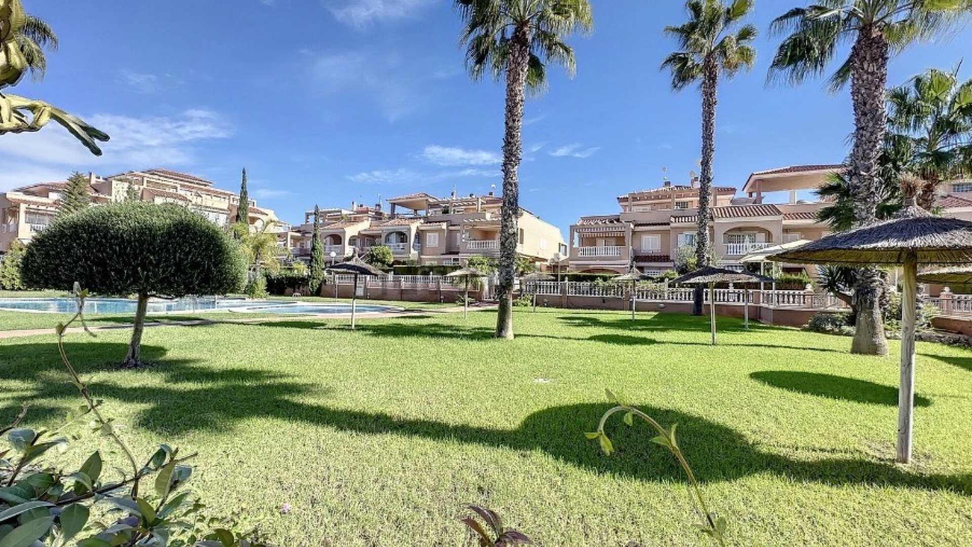 Resale - Apartment - Playa Flamenca - zeniamar