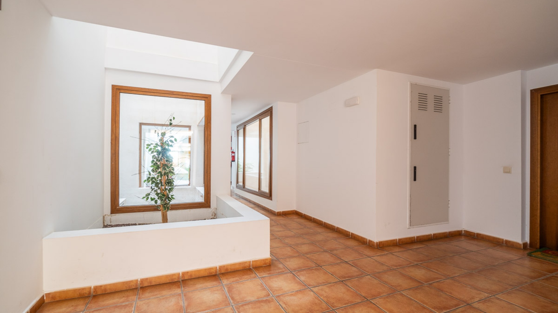 Resale - Apartment - Punta Prima - la entrada