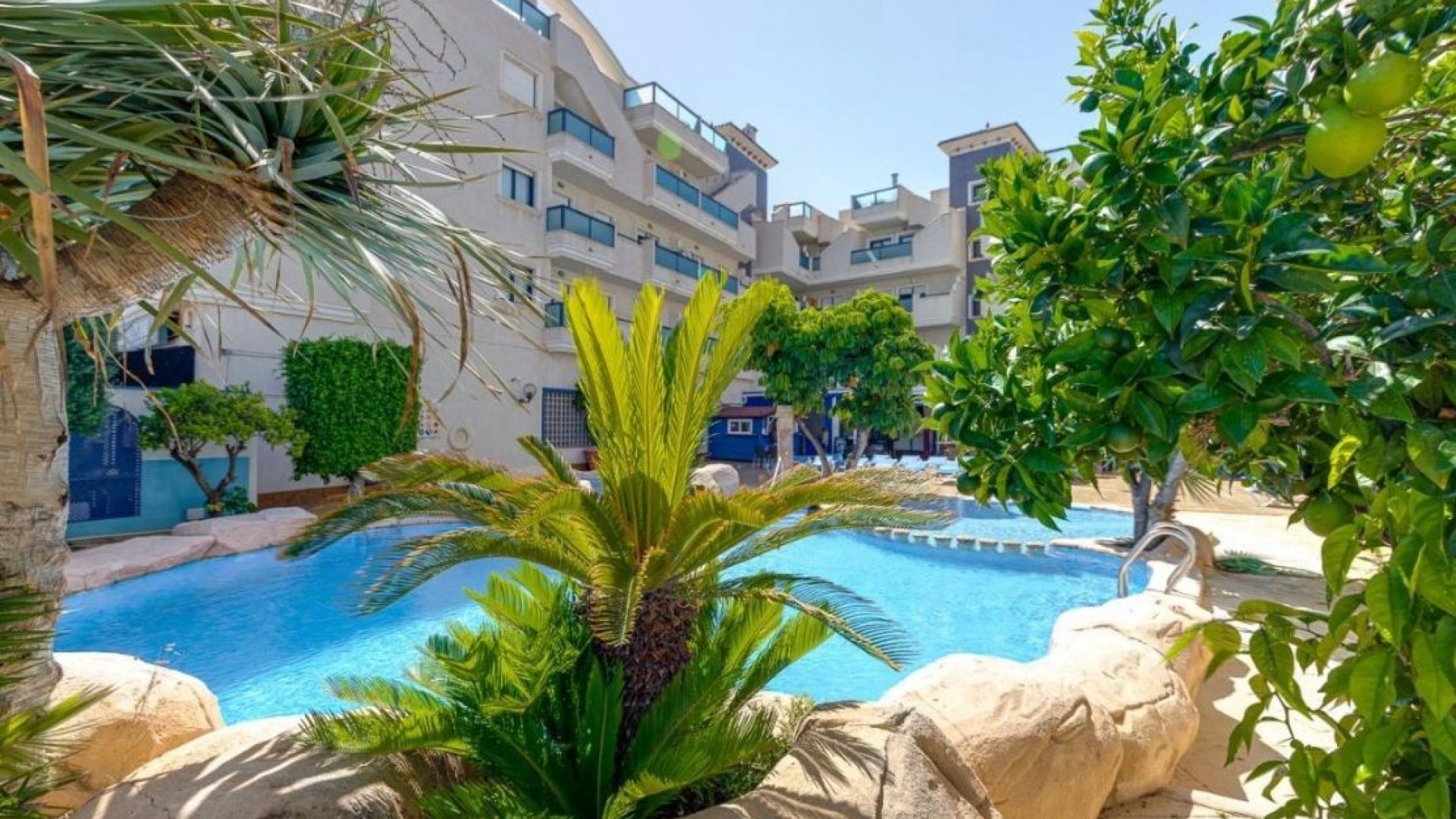 Revente - Appartement - Cabo Roig