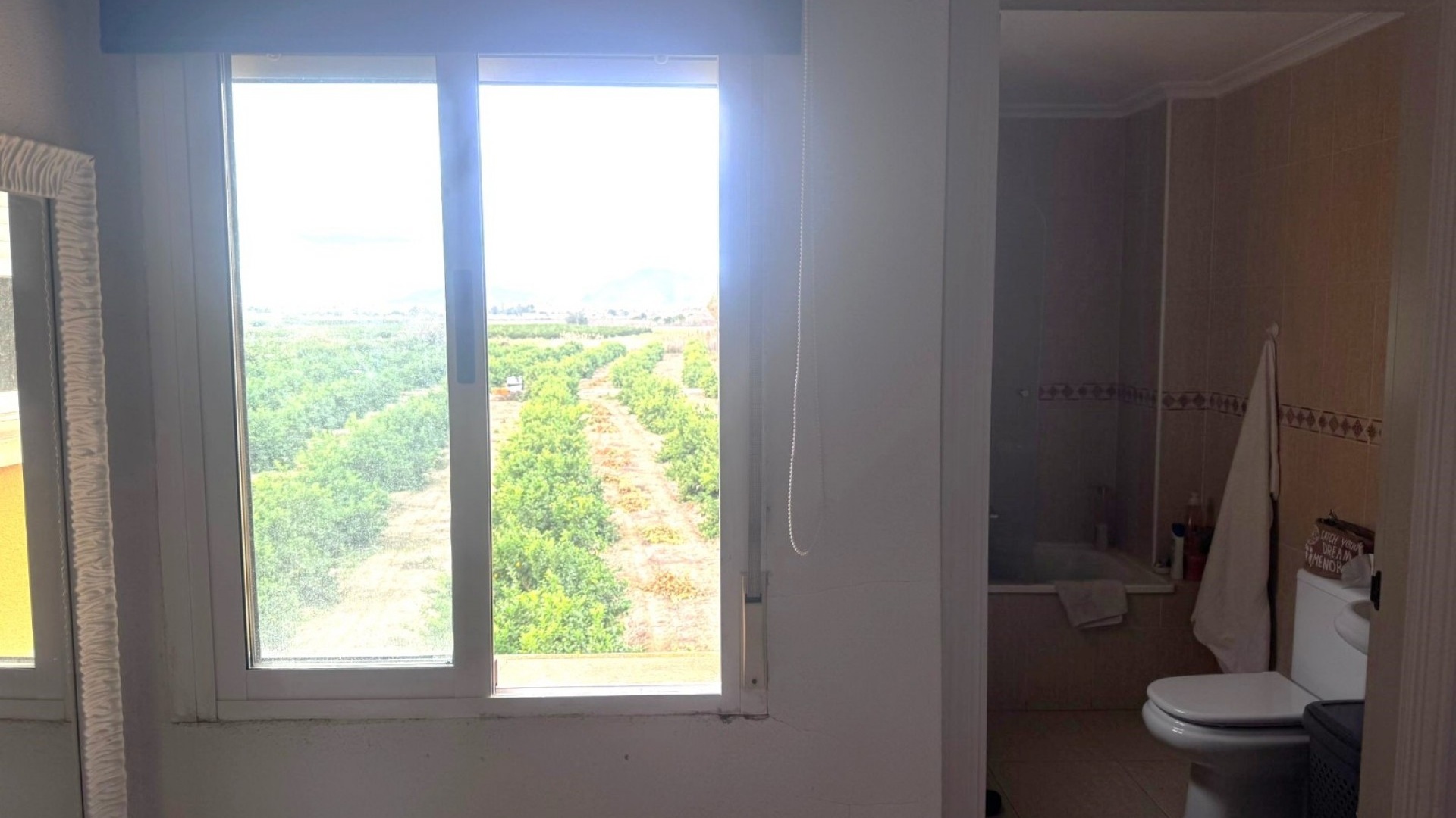 Revente - Appartement - Daya Nueva