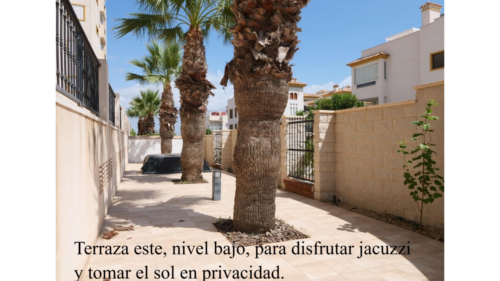 Revente - Appartement - Guardamar del Segura - Marjal Beach