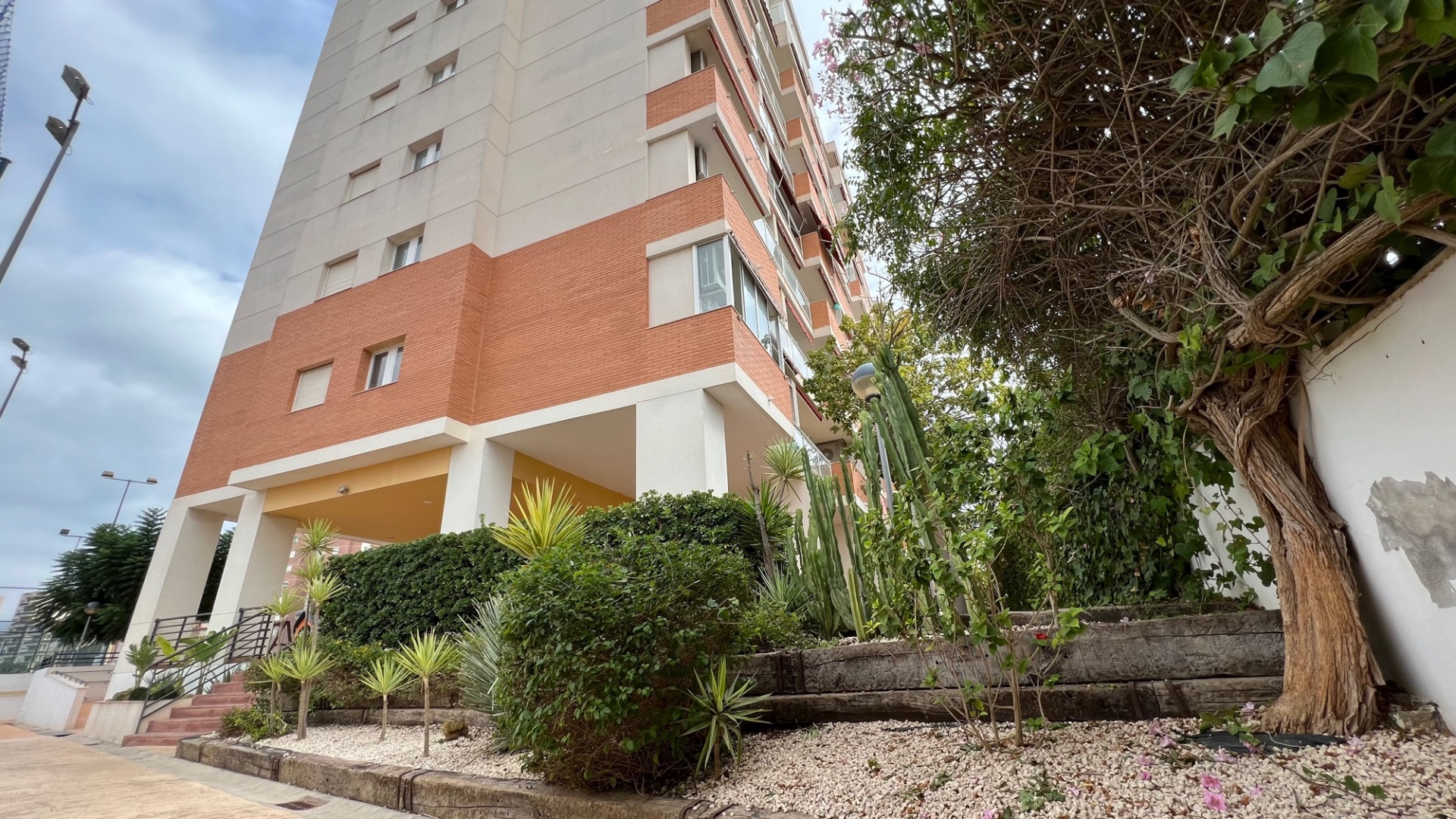 Revente - Appartement - Guardamar del Segura - Puerto