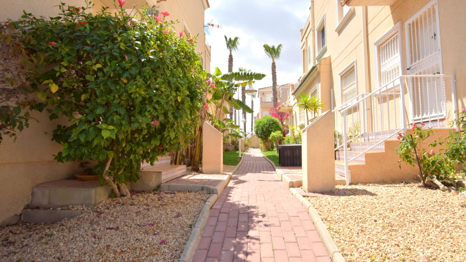 Revente - Appartement - Orihuela Costa - Playa Flamenca