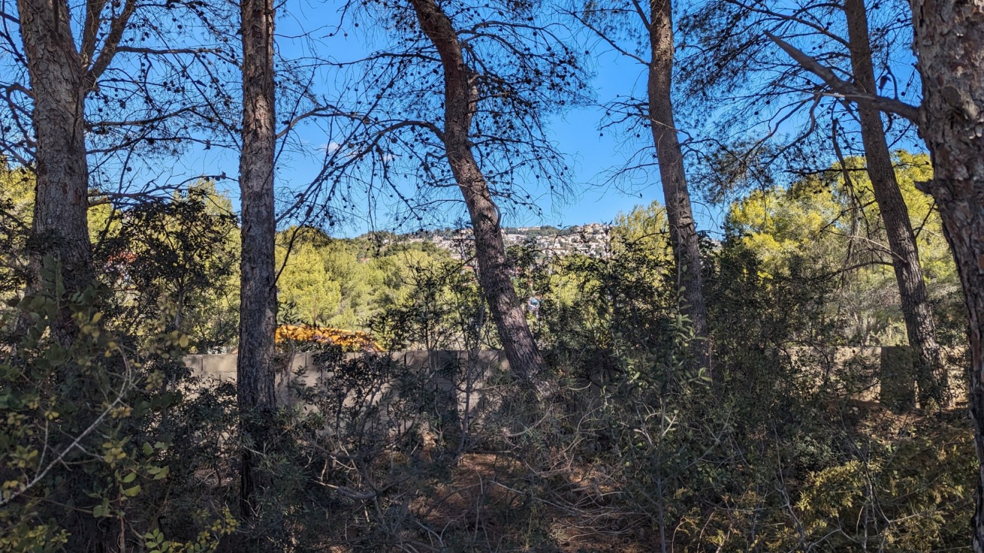 Revente - Terre - Benissa - Fanadix