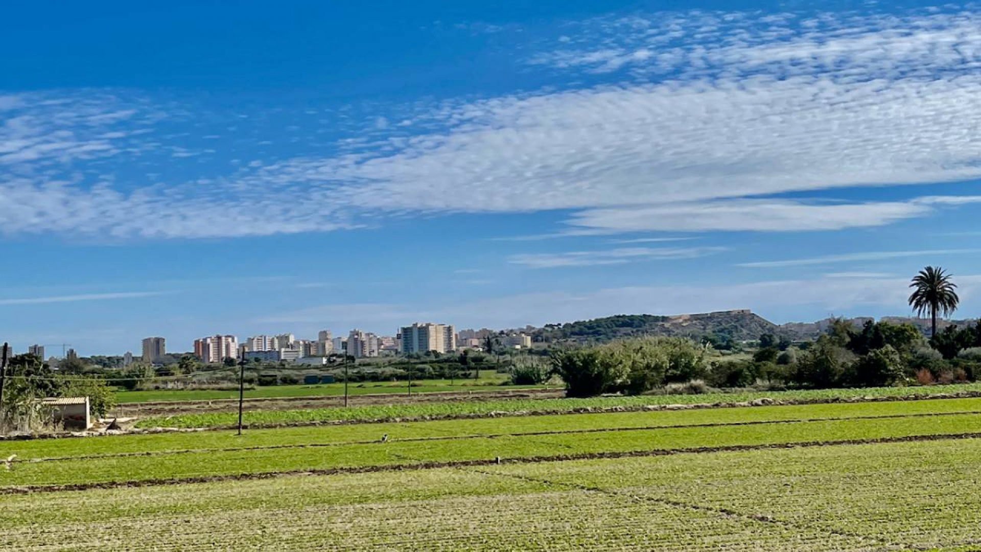 Revente - Villa - Guardamar del Segura