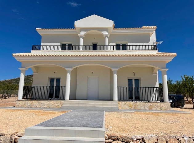 Villa - Nybyggnad - Pinoso - Camino Del Prado