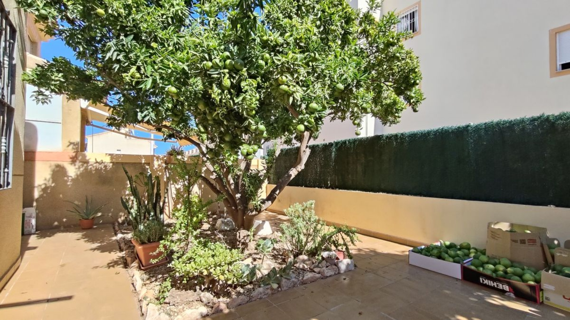 Wederverkoop - Appartement - La Zenia - amapolas