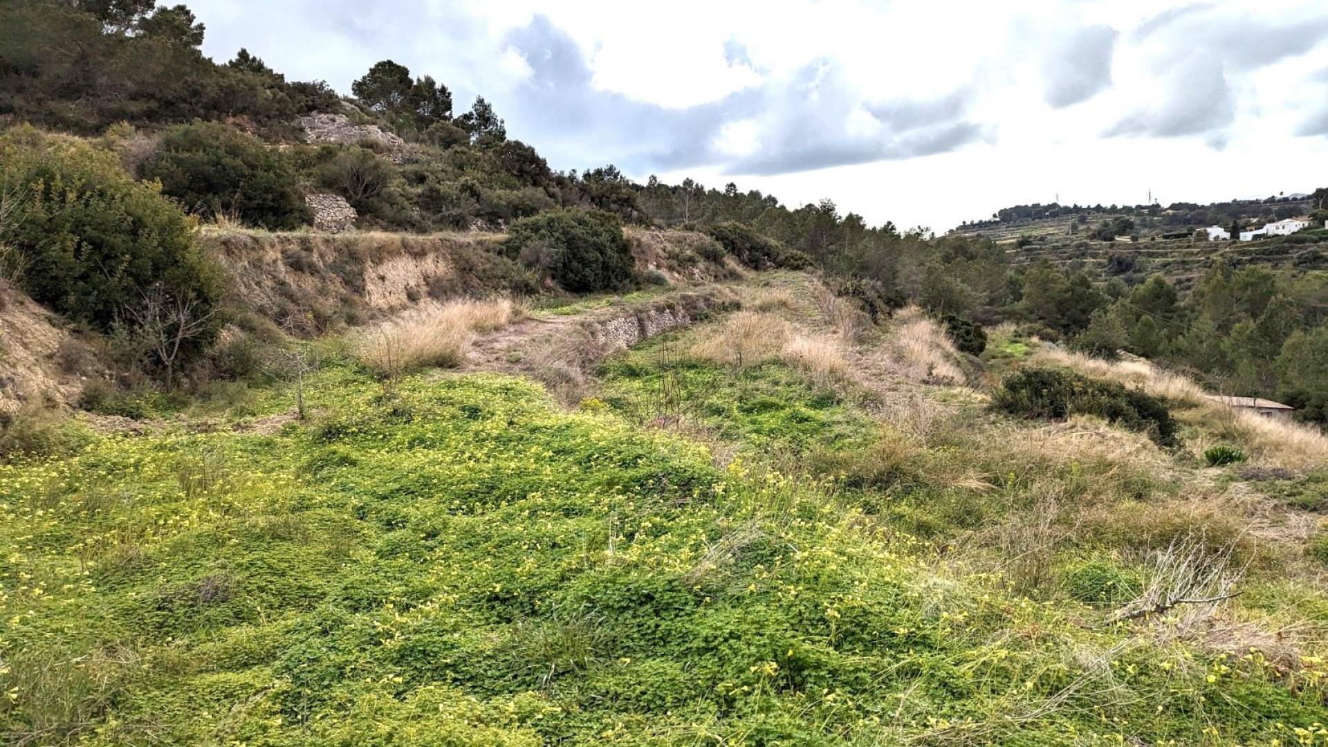 Wederverkoop - Land - Benissa - Partida Llenes