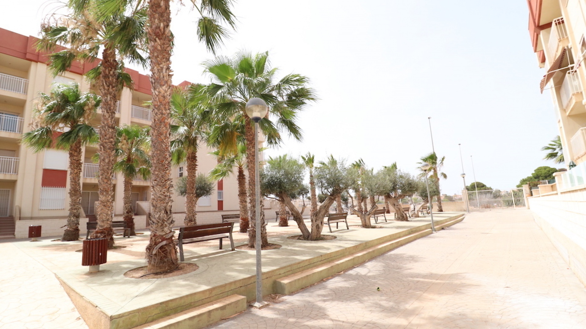 Wiederverkauf - Wohnung - Cabo Roig - Lomas de Cabo Roig