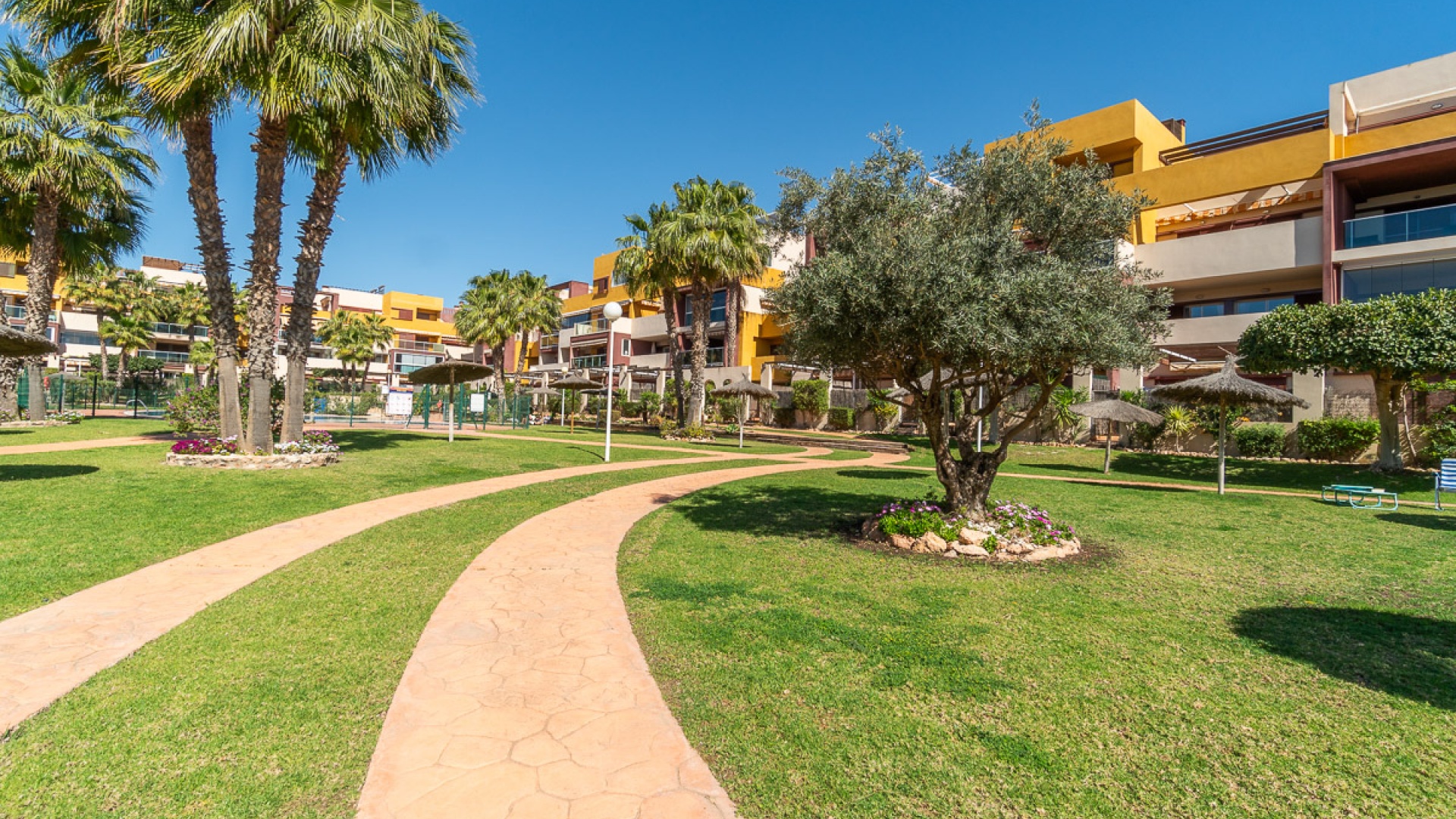 Wiederverkauf - Wohnung - Playa Flamenca - el bosque