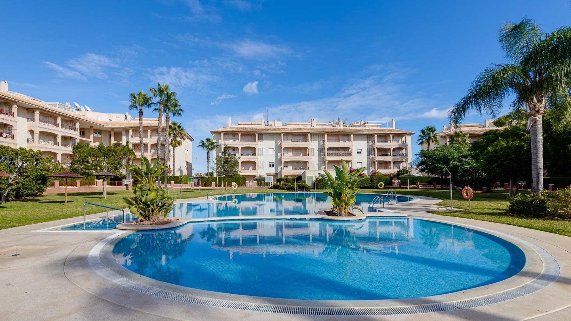 Wiederverkauf - Wohnung - Playa Flamenca - Laguna Golf