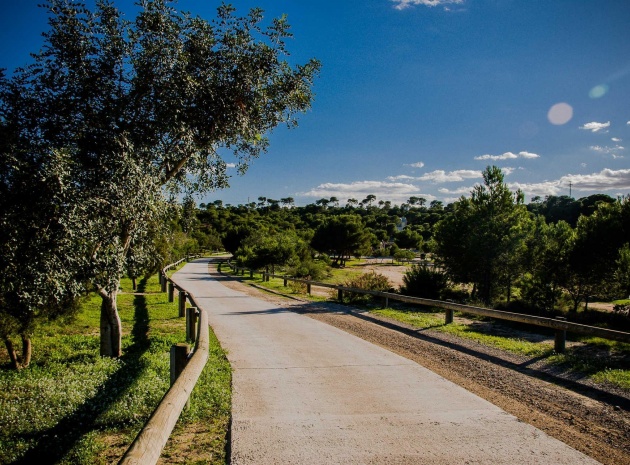 Nybyggnad - Villa - Ciudad Quesada - Costa Blanca South