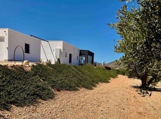 Nybyggnad - Villa - Jumilla - Torre del Rico